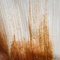 Close up texture of dried palm leaf Royalty Free Stock Photo