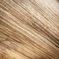 Close up texture of dried palm leaf Royalty Free Stock Photo