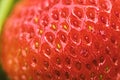 Close-up texture of a fresh red strawberry with leaves. color natural Royalty Free Stock Photo