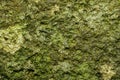 A close-up texture of moss-covered rock Royalty Free Stock Photo