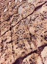 Close-up of The texture of the Natural stone background, sandy rocks on the coast of Donegal, Ireland