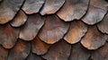 Close-up Texture of Overlapping Brown and Black Scaled Surface Royalty Free Stock Photo
