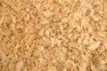 Close up texture of pine wood shavings Royalty Free Stock Photo