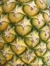 Close up texture of pineapple skin Royalty Free Stock Photo