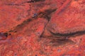Close-up texture of red jasper Royalty Free Stock Photo