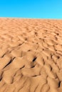 texture of the ridged surface of the sand with ripples and mini-dunes and blue sky in the desert during sunset