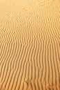 Texture of the rippled surface of the sand and dunes, top view. Desert background Royalty Free Stock Photo