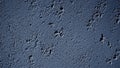Close-up texture of a rough, bumpy, dark blue painted concrete wall surface with subtle shadows Royalty Free Stock Photo