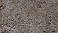 Close-Up Texture of Rough Cement Wall Surface Royalty Free Stock Photo