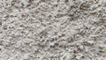 Close-up Texture of Rough White Cement Wall Background with Craggy Concrete Surface Royalty Free Stock Photo