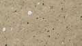 Closeup Texture of Sandy Concrete with Small Pebbles and Shell Fragments Royalty Free Stock Photo