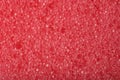 Close-up texture of a sponge Royalty Free Stock Photo