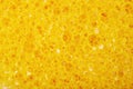 Close-up texture of a sponge Royalty Free Stock Photo