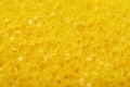 Close-up texture of a sponge Royalty Free Stock Photo