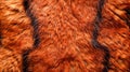 Close up Texture of Vibrant Orange Red Fur High Quality, Detailed Animal Skin Background for Designers and Creatives