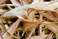 Texture of Yellow dry bamboo leaves. Royalty Free Stock Photo