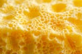 close-up texture of yellow sponge Royalty Free Stock Photo