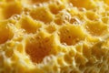 close-up texture of yellow sponge Royalty Free Stock Photo