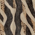 Close-up Texture of Zebra Fur Pattern Detail Royalty Free Stock Photo