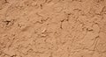 Close-up of a textured adobe wall surface. The earthen material shows irregular patterns and Royalty Free Stock Photo