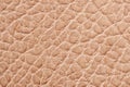 Close-up of textured beige leather surface with natural grain pattern perfect for background, upholstery, material Royalty Free Stock Photo