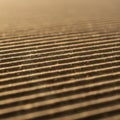 Close-up of textured brown cardboard with evenly spaced corrugations. The surface i Royalty Free Stock Photo