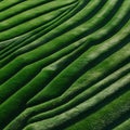 Textured Green Surface With Diagonal Light And Shadow Patterns image photo Royalty Free Stock Photo