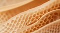 Close up of Tripe Displaying Its Honeycomb Like Structure and Pattern Royalty Free Stock Photo