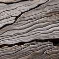 A close-up of a textured rock surface4, Generative AI