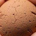 A close up of a textured spherical object resembling a cracked surface Royalty Free Stock Photo