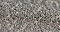 Close-up of a textured surface featuring a grid pattern with small, shiny granular structures. The Royalty Free Stock Photo