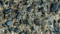 a close-up photograph of a background of natural pebbles and rocks with different shapes and textures Royalty Free Stock Photo