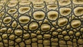 Pattern suggests an imitation of natural animal skin, possibly emulating Royalty Free Stock Photo