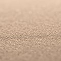 Close-up of a textured surface with a soft, blurred focus. The image showcases Royalty Free Stock Photo