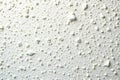 Close up, textured white wall, spreading mildew Germany , mold, problem Royalty Free Stock Photo