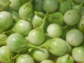 Close up Thai Eggplant