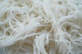 close-up thai rice noodles texture background