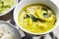 Close up thai spicy yellow fish curry