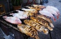 Close up of thai street food barbecue with salted fishes on charcoal grill - Bangkok, Thailand Royalty Free Stock Photo