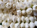 Close-up Thai style of jasmine garland