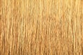Close up of thatch roof background, Hay or dry grass background, Thatched roof, Grass hay, dry straw, Roof background texture Royalty Free Stock Photo
