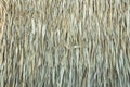 Close up of thatch roof background, Hay or dry grass background, Thatched roof Royalty Free Stock Photo