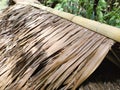A close-up of a thatched roof in a hut