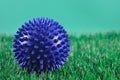 close up therapy ball for massage on grass background