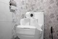 Close-up of there are many rolls of toilet paper lying on the toilet lid in the bathroom of the apartment Royalty Free Stock Photo