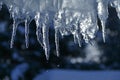 close up of thick blue ice and many icicles