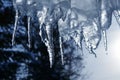 close up of thick blue ice and many icicles