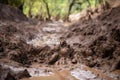 close-up of the thick, wet mud that makes up a landslide