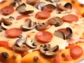 Close-up of thin-crust pizza with cheese, tomato and basilic