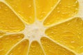 Close-up of a thin slice of lemon